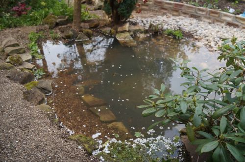 Click Here To Enlarge This Photo Of Wildlife pond