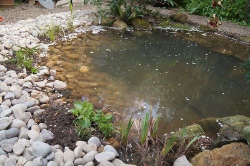 Click Here To Enlarge This Photo Of Wildlife pond