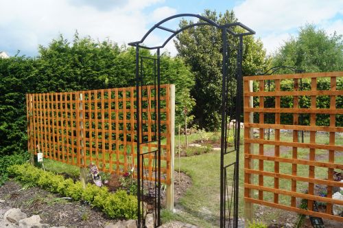 Click Here To Enlarge This Photo Of Wildlife garden transformation