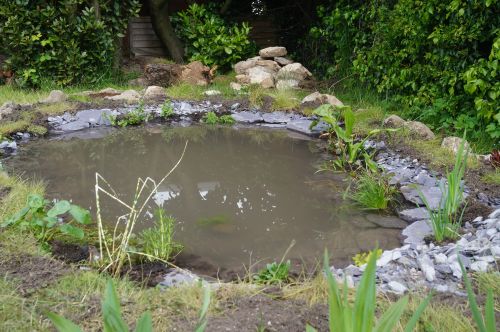 Click Here To Enlarge This Photo Of Wildlife garden transformation