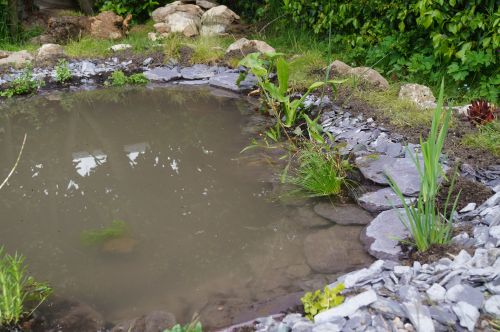 Click Here To Enlarge This Photo Of Wildlife garden transformation