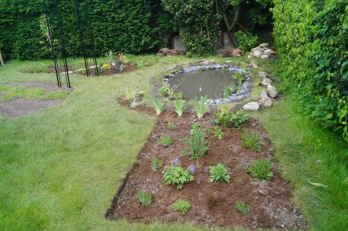 Click Here To Enlarge This Photo Of Wildlife garden transformation