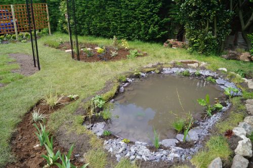 Click Here To Enlarge This Photo Of Wildlife garden transformation