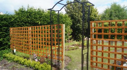 Wildlife garden transformation