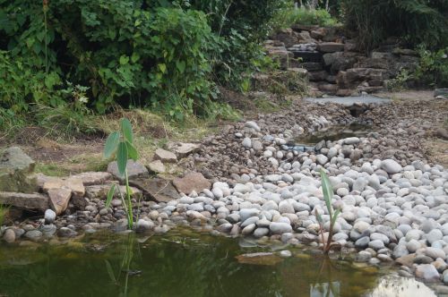 Click Here To Enlarge This Photo Of Wildlife pond&comma; large stream and waterfall