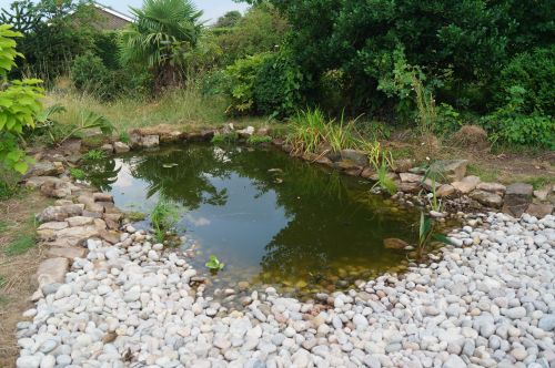 Click Here To Enlarge This Photo Of Wildlife pond&comma; large stream and waterfall