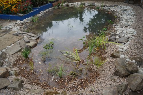 Click Here To Enlarge This Photo Of Wildlife Pond with bog area