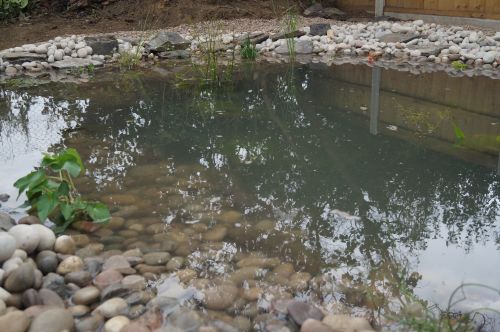 Click Here To Enlarge This Photo Of Wildlife Pond with bog area