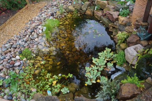 Click Here To Enlarge This Photo Of Creative stream and pond with wine bottles