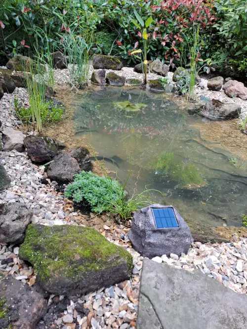 Click Here To Enlarge This Photo Of Wildlife pond