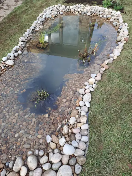 Click Here To Enlarge This Photo Of Wildlife pond