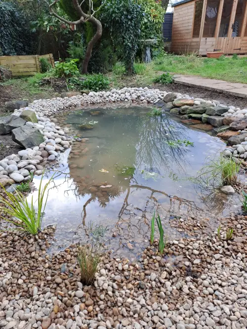 Click Here To Enlarge This Photo Of Wildlife pond with bog area