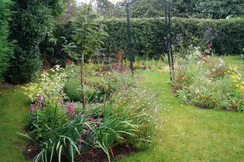 Click Here To Enlarge This Photo Of Wildlife garden re-visited