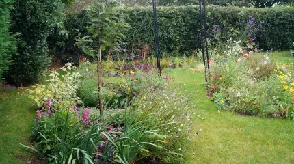 Wildlife garden re-visited