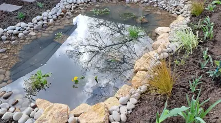 Wildlife pond with a nature trail
