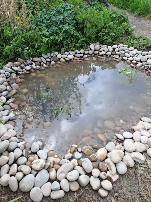Click Here To Enlarge This Photo Of Mini wildlife pond