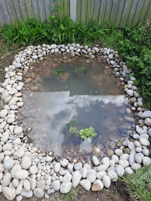 Click Here To Enlarge This Photo Of Mini wildlife pond