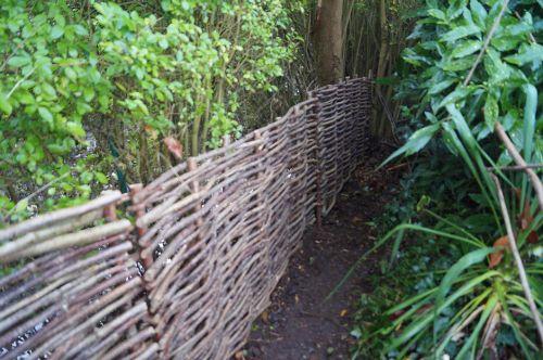 Click Here To Enlarge This Photo Of Hazel Fencing