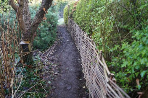 Click Here To Enlarge This Photo Of Hazel Fencing