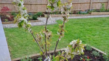 Planting of raised borders