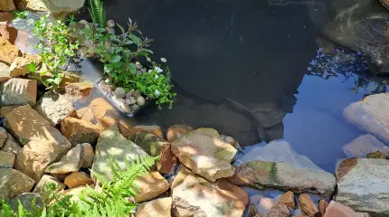 Pond and decorative stream