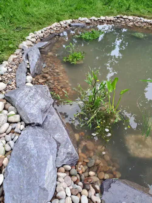 Click Here To Enlarge This Photo Of Wildlife pond