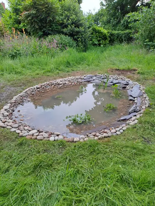 Click Here To Enlarge This Photo Of Wildlife pond