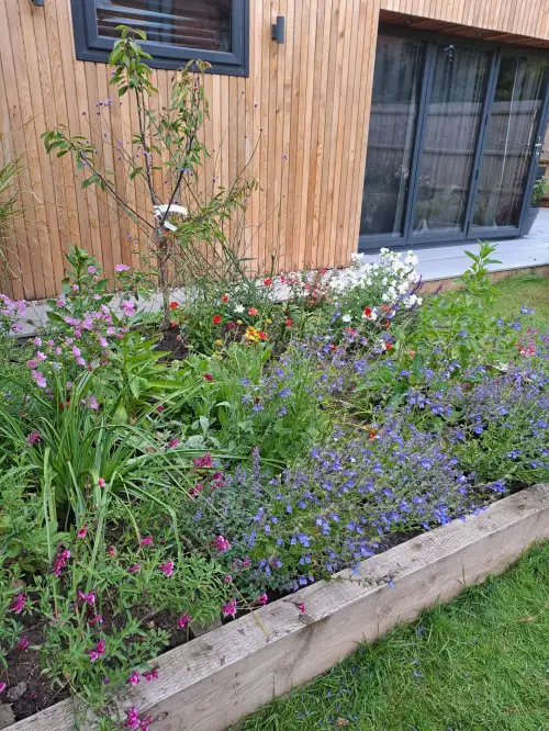 Click Here To Enlarge This Photo Of Planting of raised borders - re-visited