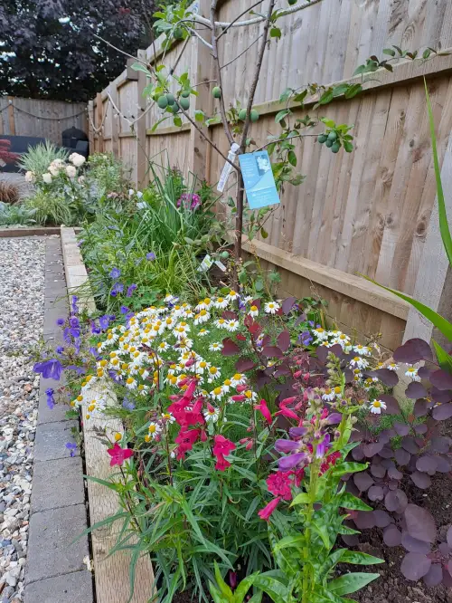 Click Here To Enlarge This Photo Of Planting of raised borders - re-visited
