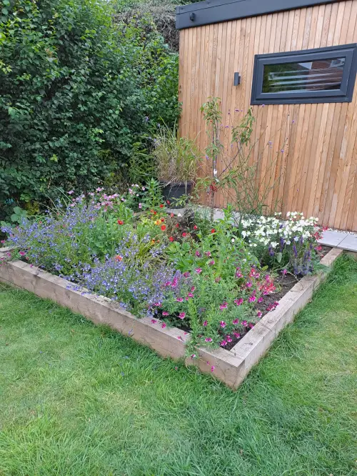 Click Here To Enlarge This Photo Of Planting of raised borders - re-visited