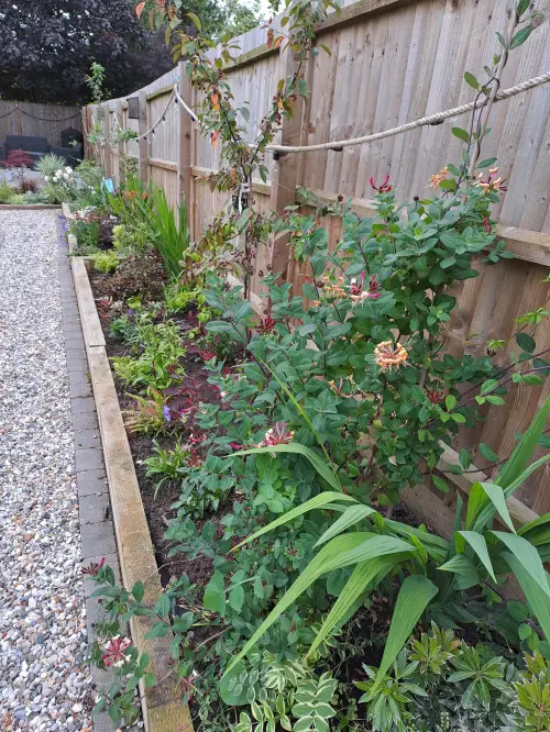 Click Here To Enlarge This Photo Of Planting of raised borders - re-visited