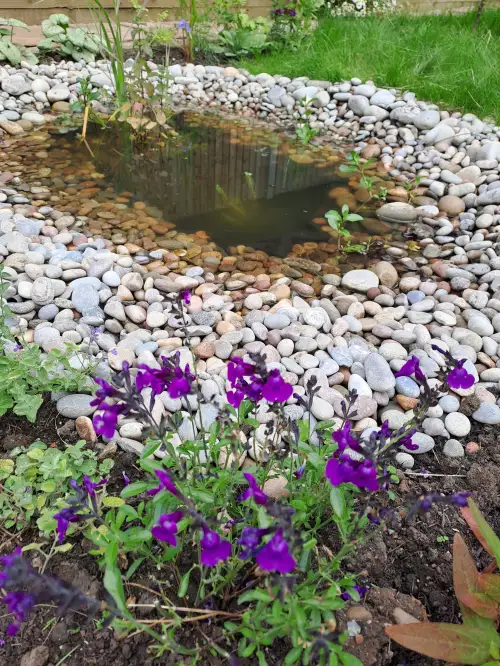 Click Here To Enlarge This Photo Of Wildlife garden