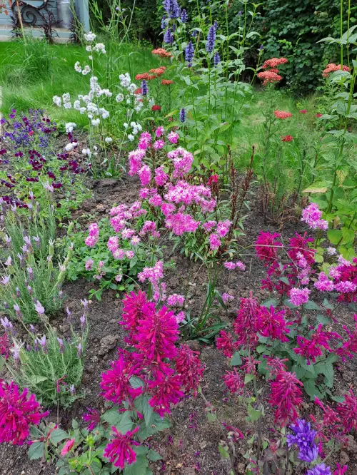 Click Here To Enlarge This Photo Of Wildlife garden