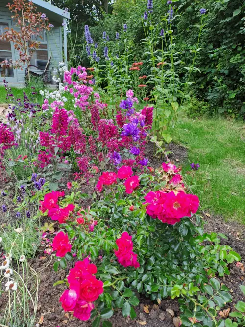 Click Here To Enlarge This Photo Of Wildlife garden