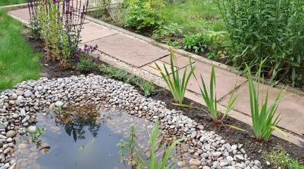 Wildlife garden