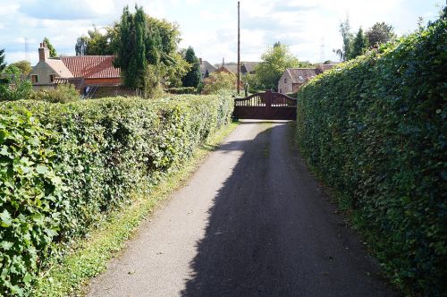 Click Here To Enlarge This Photo Of Greenbanks