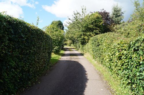 Click Here To Enlarge This Photo Of Greenbanks