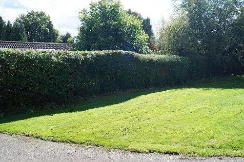 Click Here To Enlarge This Photo Of Greenbanks