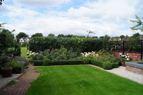 Click Here To Enlarge This Photo Of Mixed Hedging