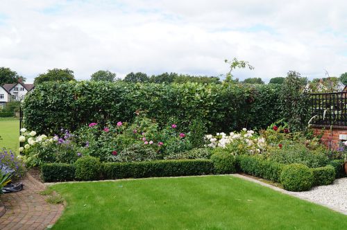 Click Here To Enlarge This Photo Of Mixed Hedging