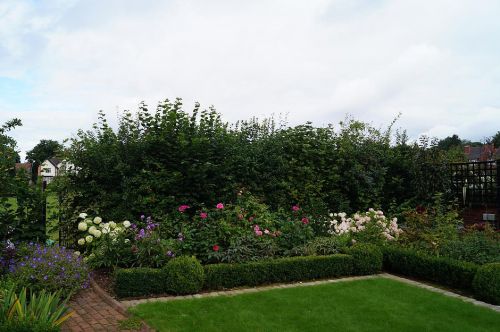 Click Here To Enlarge This Photo Of Mixed Hedging