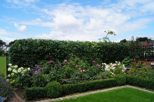 Click Here To Enlarge This Photo Of Mixed Hedging