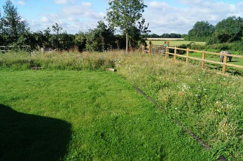 Click Here To Enlarge This Photo Of Wildflower Meadow