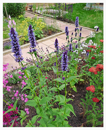 Rockery