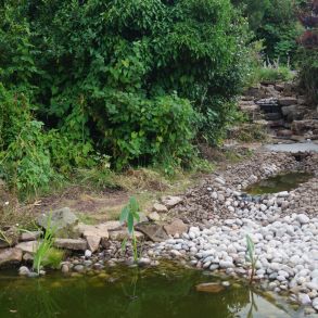 wildlife pond and stream: Click Here To View Larger Image